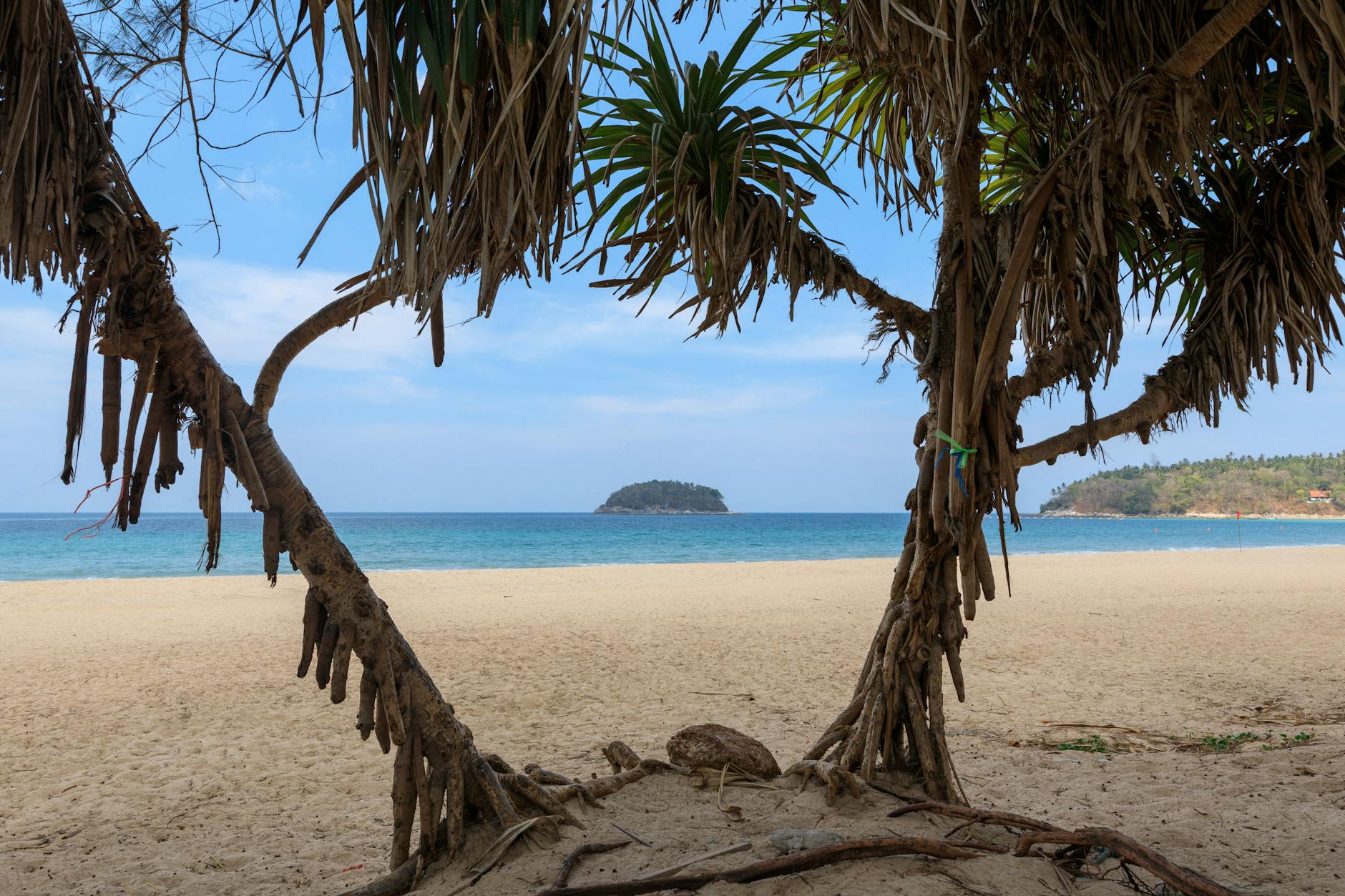 Wyspy Ko Phi Phi bez tłumów: kiedy jechać i jak zwiedzać rozsądnie Spokojna plaża na Ko Phi Phi z palmą i wyspą na horyzoncie