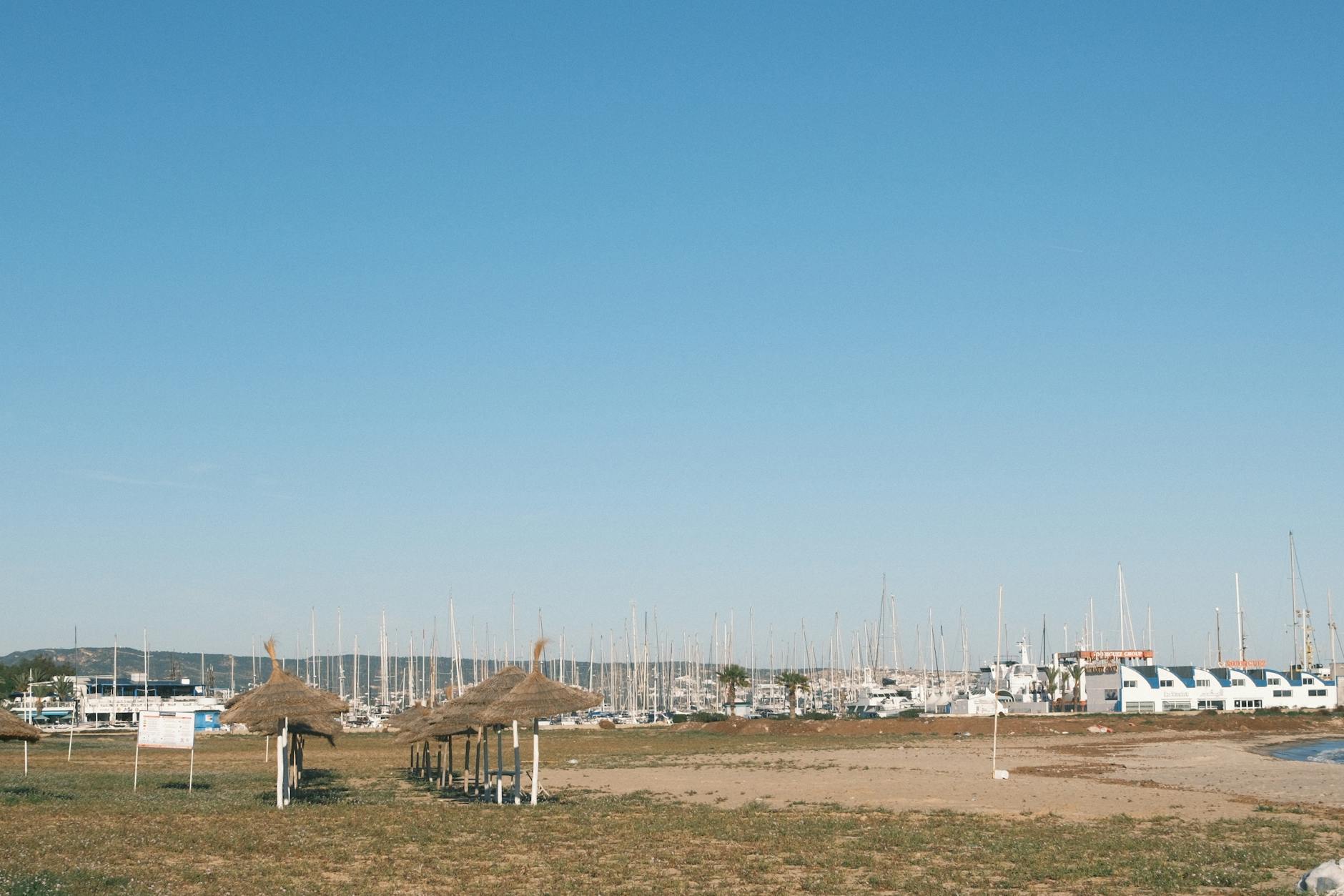 Najpiękniejsze plaże Tunezji: gdzie znaleźć turkusową wodę i spokój Spokojna plaża w Tunezji z parasolami z trzciny i mariną w tle
