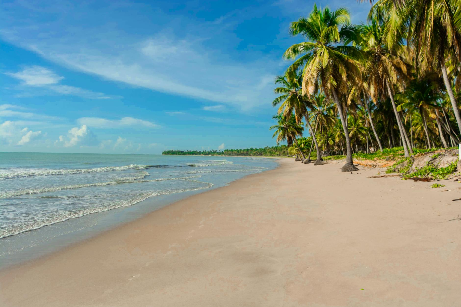 Spokojna plaża z palmami i turkusowym morzem na tajskiej wyspie