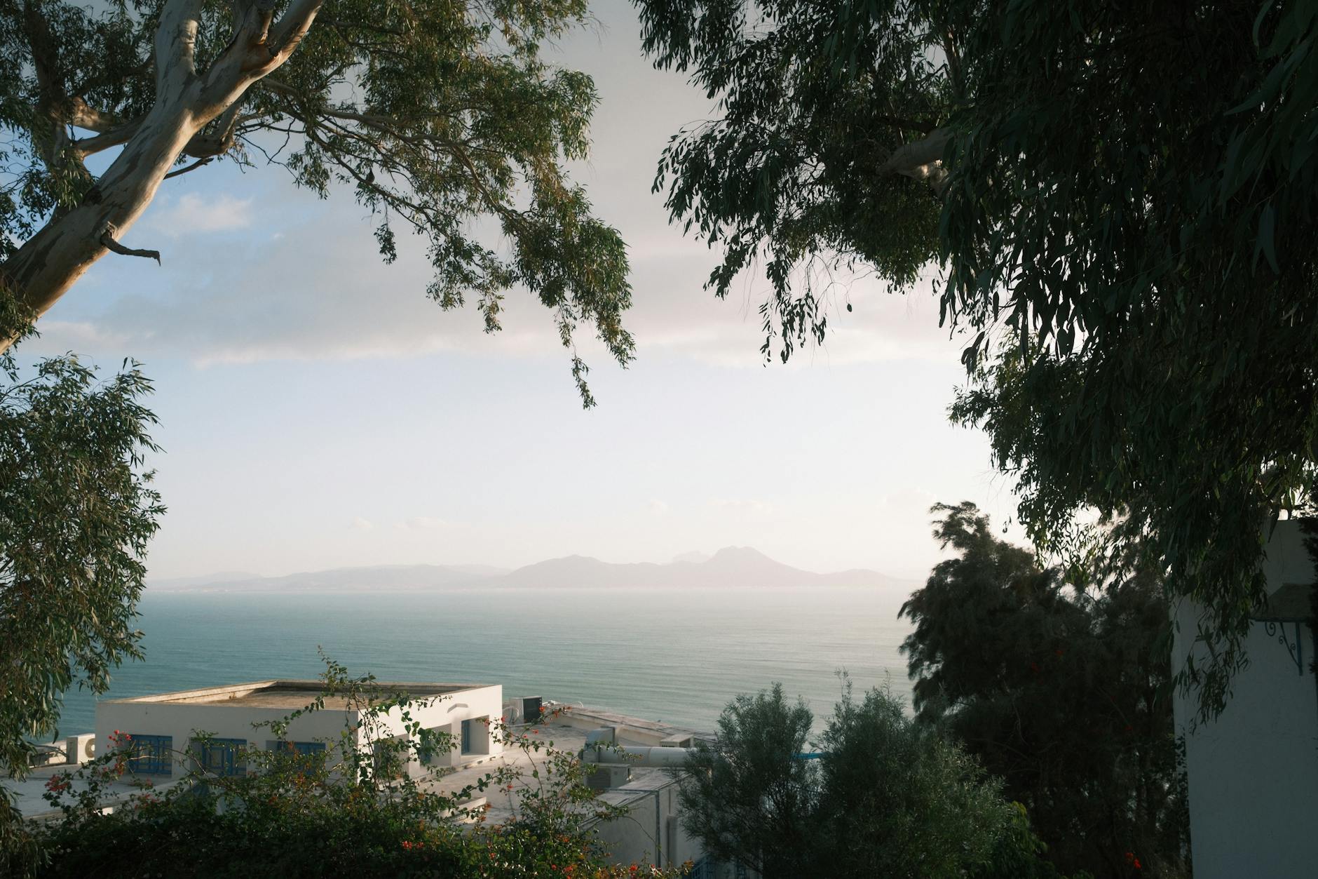 Najpiękniejsze nadmorskie miasteczka Tunezji idealne na spokojne wakacje Widok na Morze Śródziemne i zabudowę Kartaginy wśród drzew