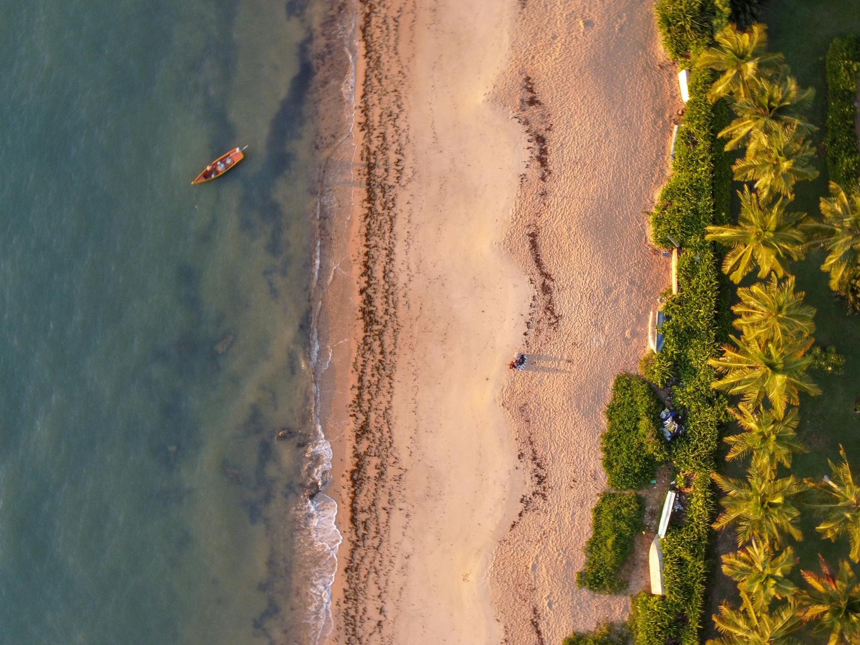 Spokojna tropikalna plaża w Brazylii z palmami i łagodnym morzem