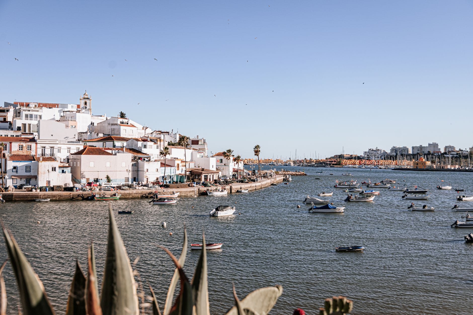 Łódki i kolorowe domy nad nabrzeżem w Ferragudo w Algarve