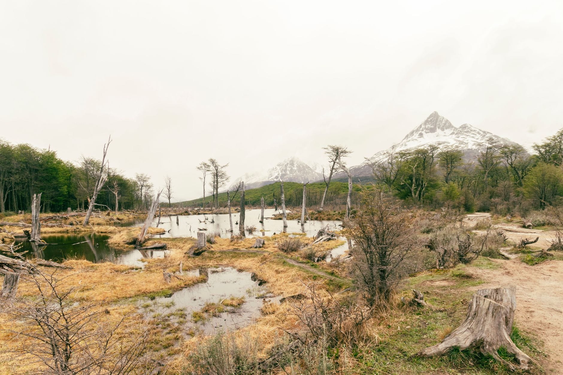 Patagonia bez auta: jak zorganizować wyjazd